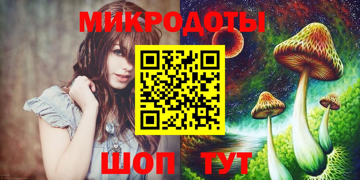 Галлюциногенные грибы Psilocybe Москва