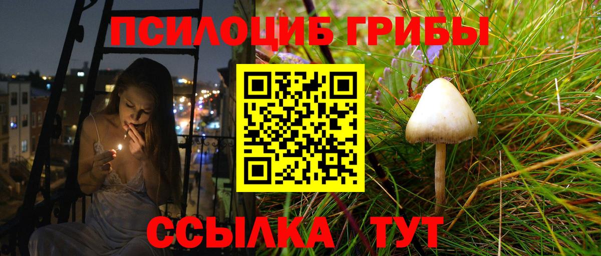 Москва  Галлюциногенные грибы прущие грибы  хочу   Вход с VPN 